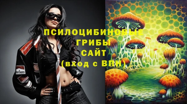 наркотики Новозыбков