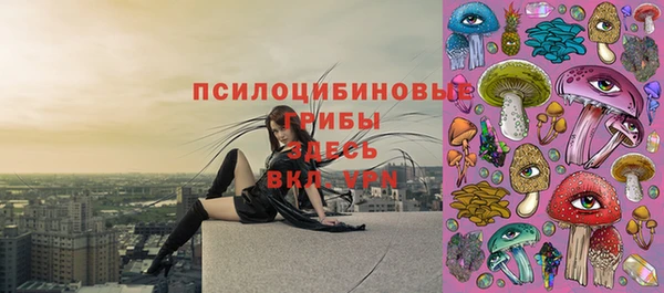 наркотики Новозыбков