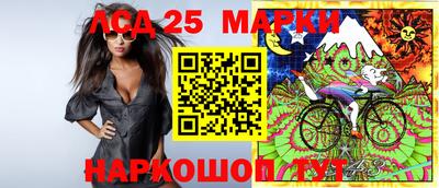 прущие грибы Гатчина