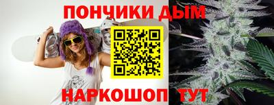 прущие грибы Гатчина