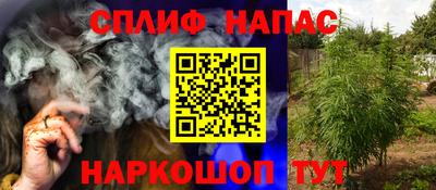 прущие грибы Гатчина