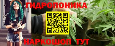 прущие грибы Гатчина