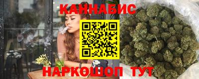 прущие грибы Гатчина