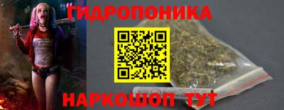 прущие грибы Гатчина